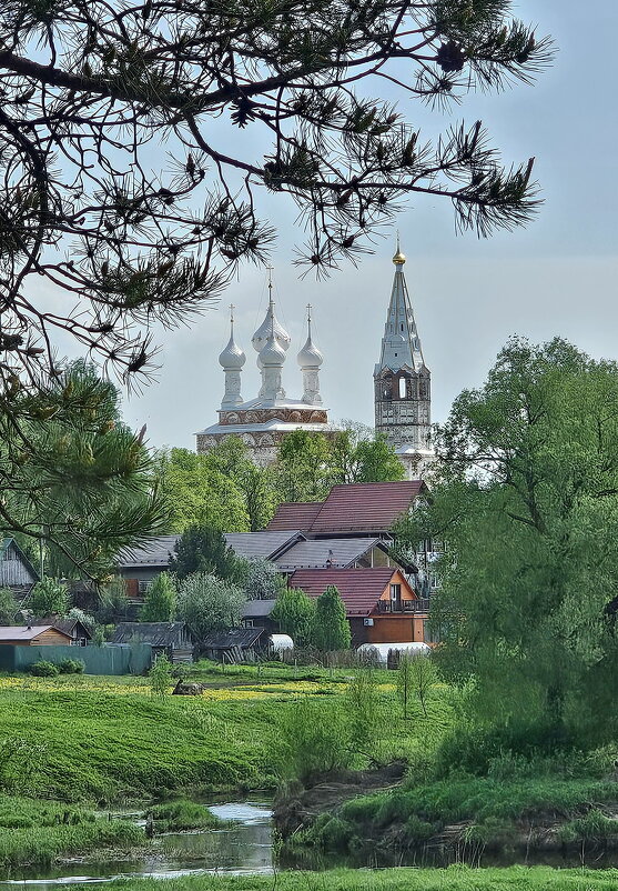 Дунилово. Покровская церковь - Михаил Свиденцов Дунилово. Покровская церковь - Михаил Свиденцов