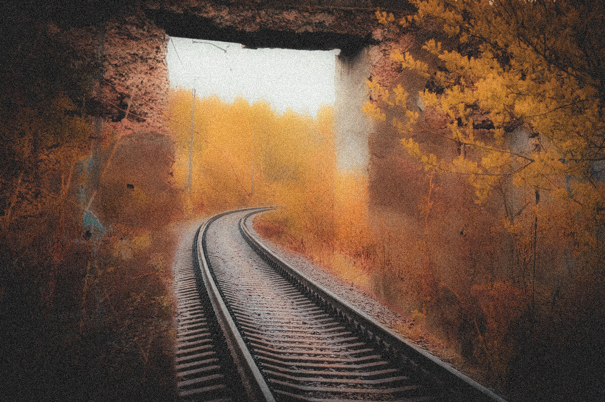 без названия - fogmeadowww m