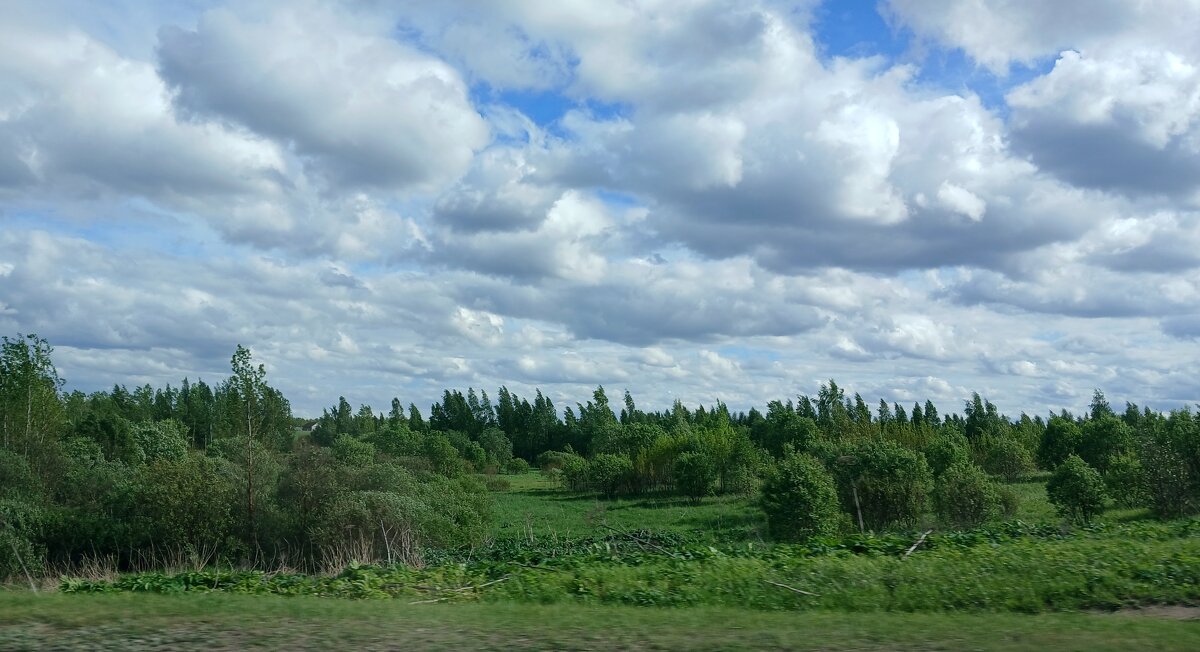 Дорожные впечатления - Наталья Герасимова Дорожные впечатления - Наталья Герасимова