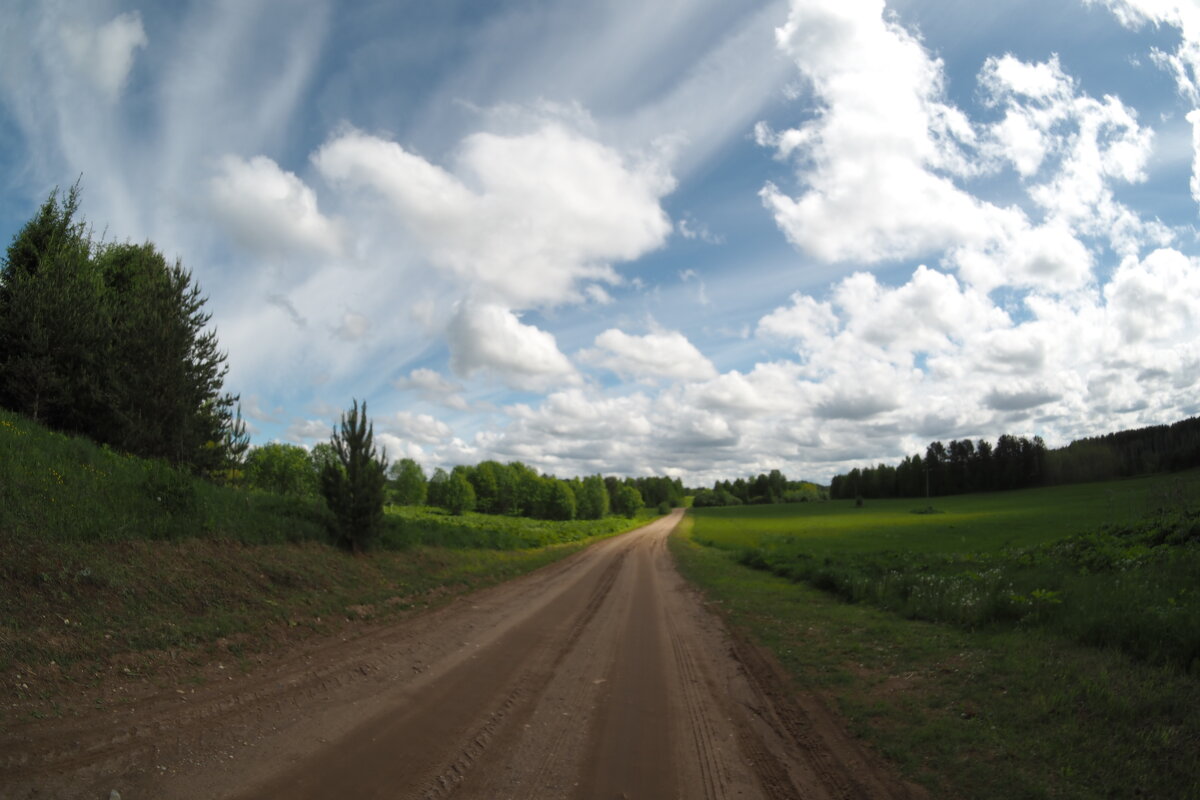 По дороге с облаками - Елена По дороге с облаками - Елена