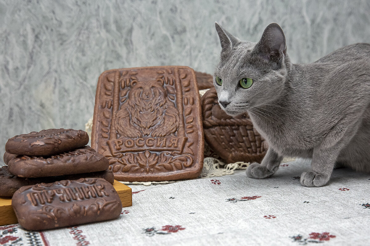 Пряники и Кошка Аська - Герман Воробьев Пряники и Кошка Аська - Герман Воробьев