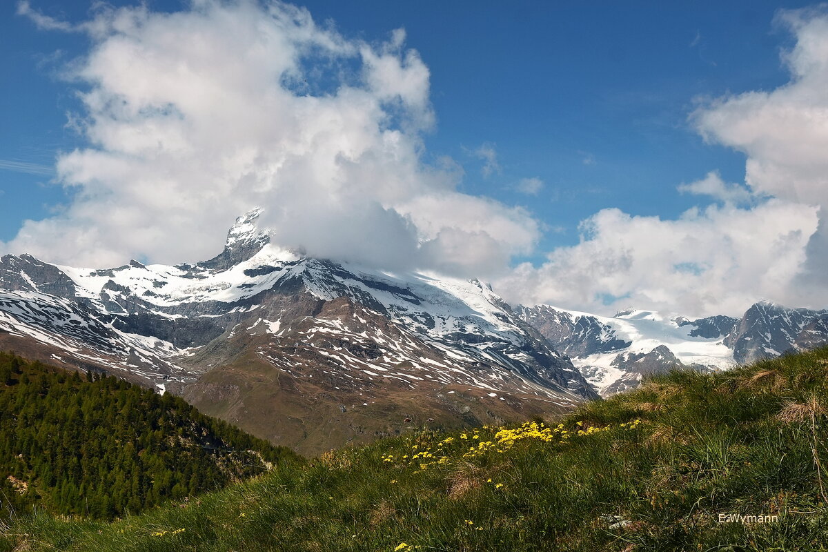 das Matterhorn - Elena Wymann