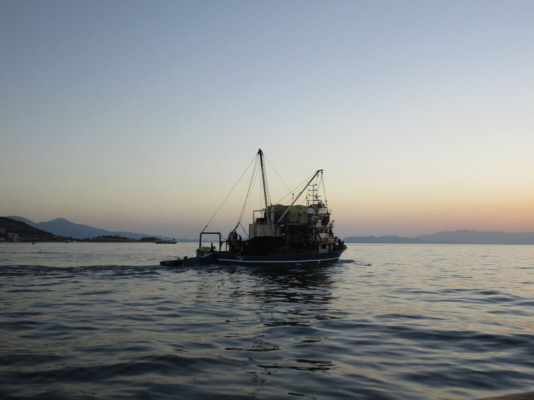 вечер на море - Елена Шаламова вечер на море - Елена Шаламова