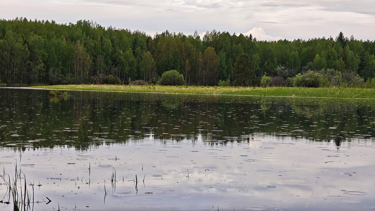 Дождик - Александр 