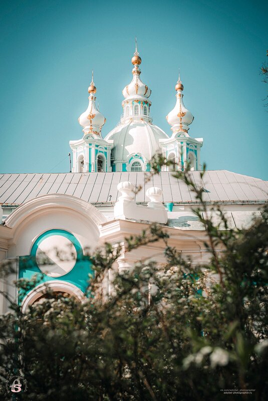 Смольный Собор - Анастасия Белякова