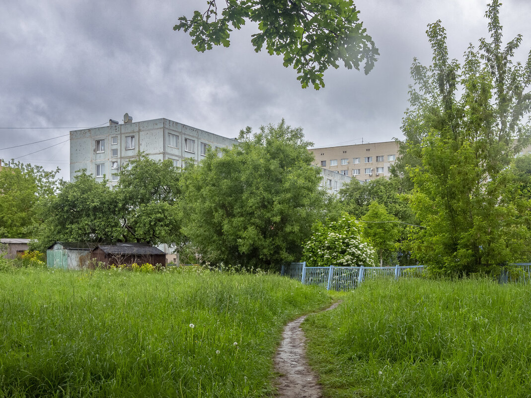 ___ - Yuriy V