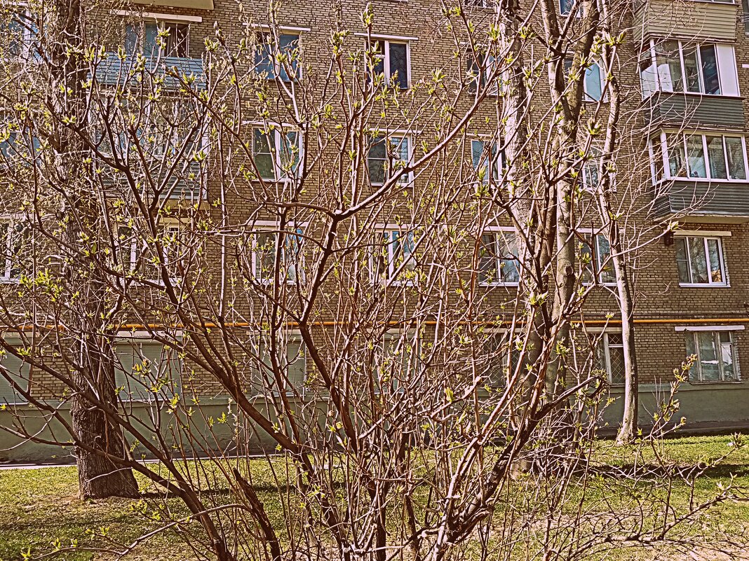 Апрель. - Владимир Драгунский