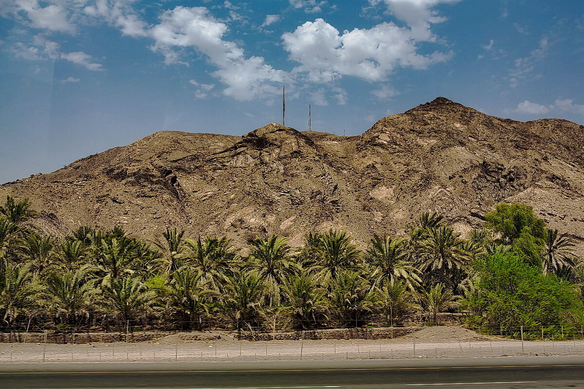 UAE 70 - Arturs Ancans