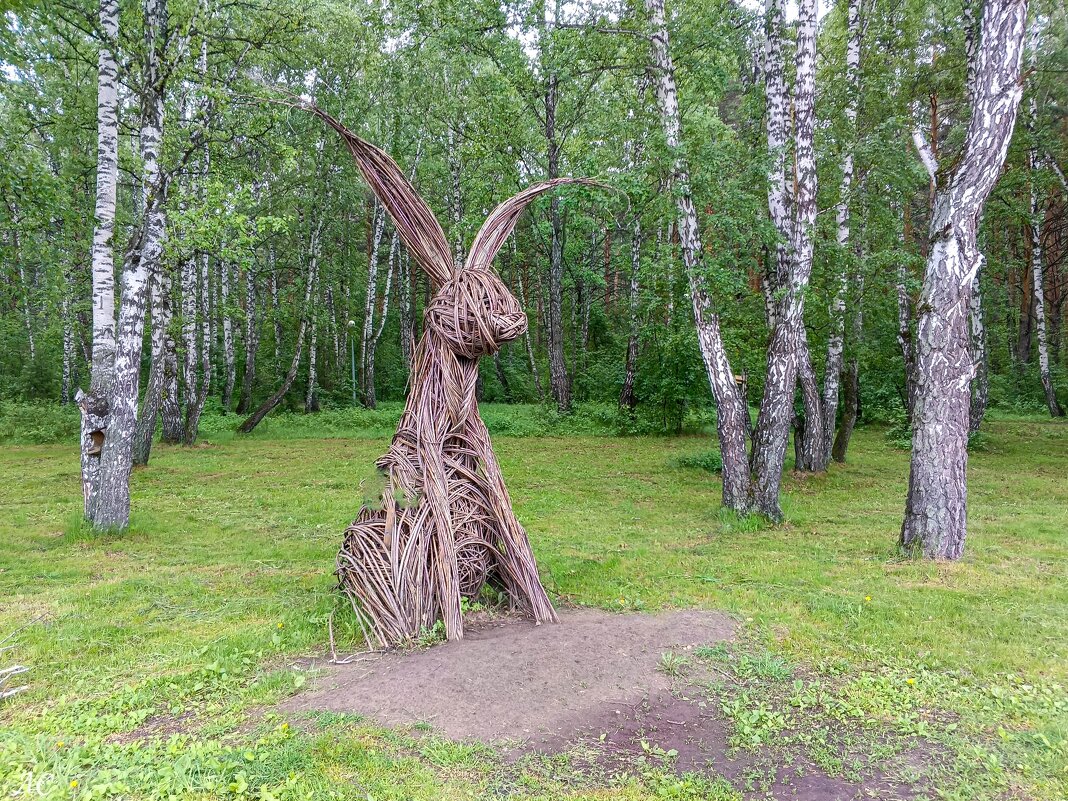 Заяц - Любовь Сахарова