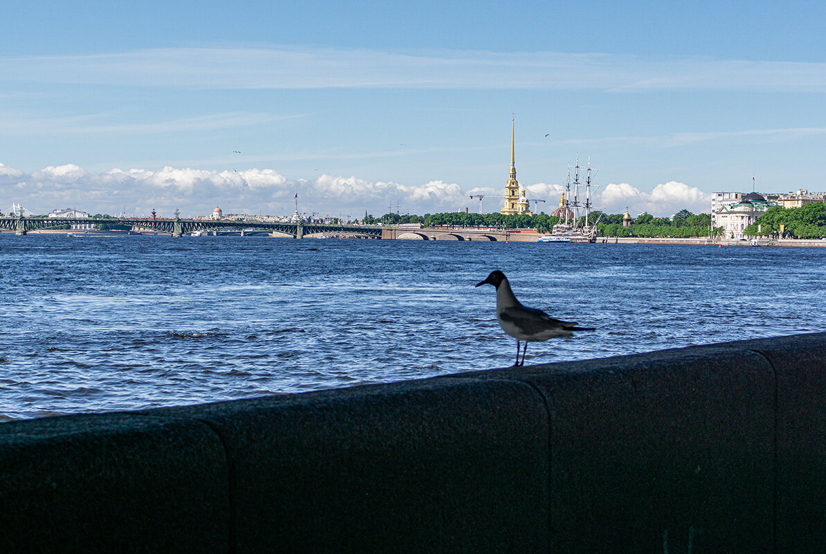 Петербурженка - Ирина Соловьёва Петербурженка - Ирина Соловьёва
