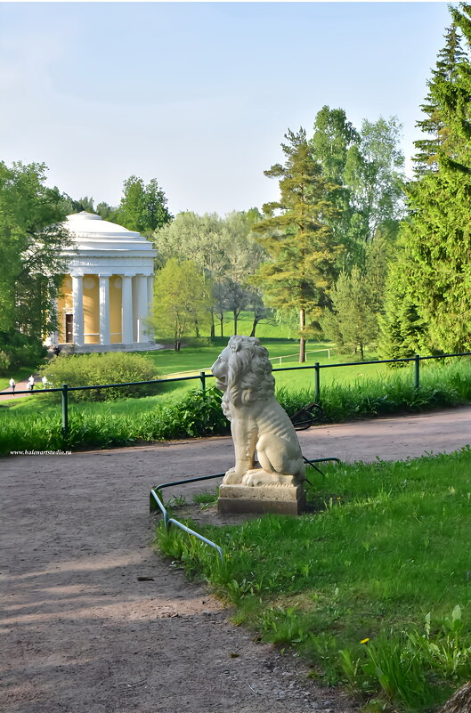В Павловском парке - Игорь Корф