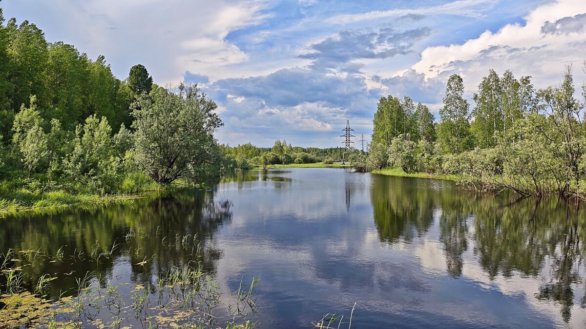 Природа у реки - Александр Природа у реки - Александр