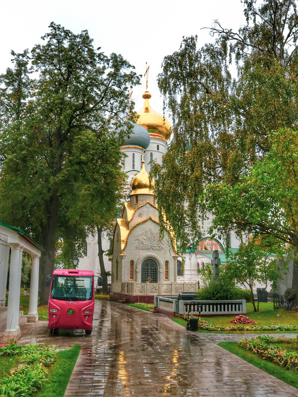 В Новодевичьем - Irene Irene