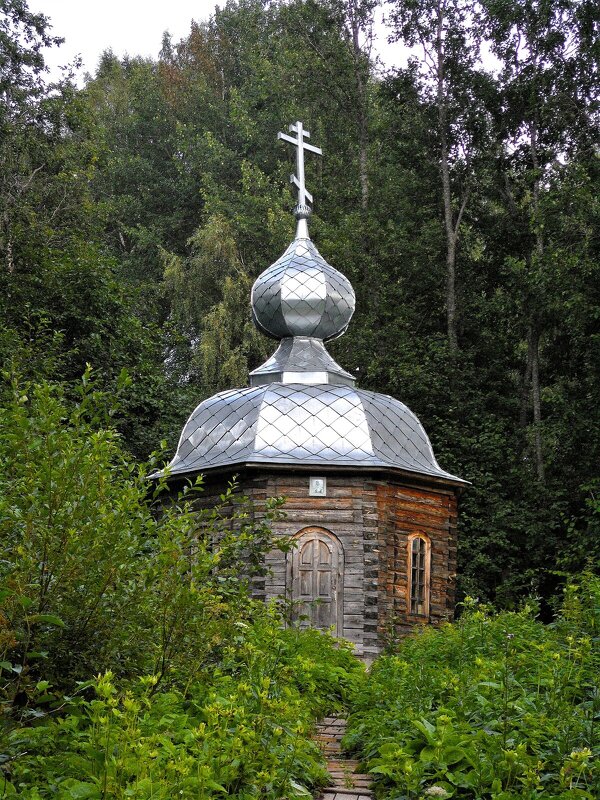 В лесах Севера - Лариса С.