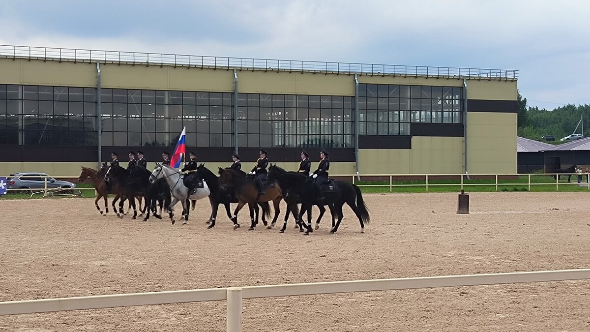 Конная полиция на Кони Фесте. - Ольга 