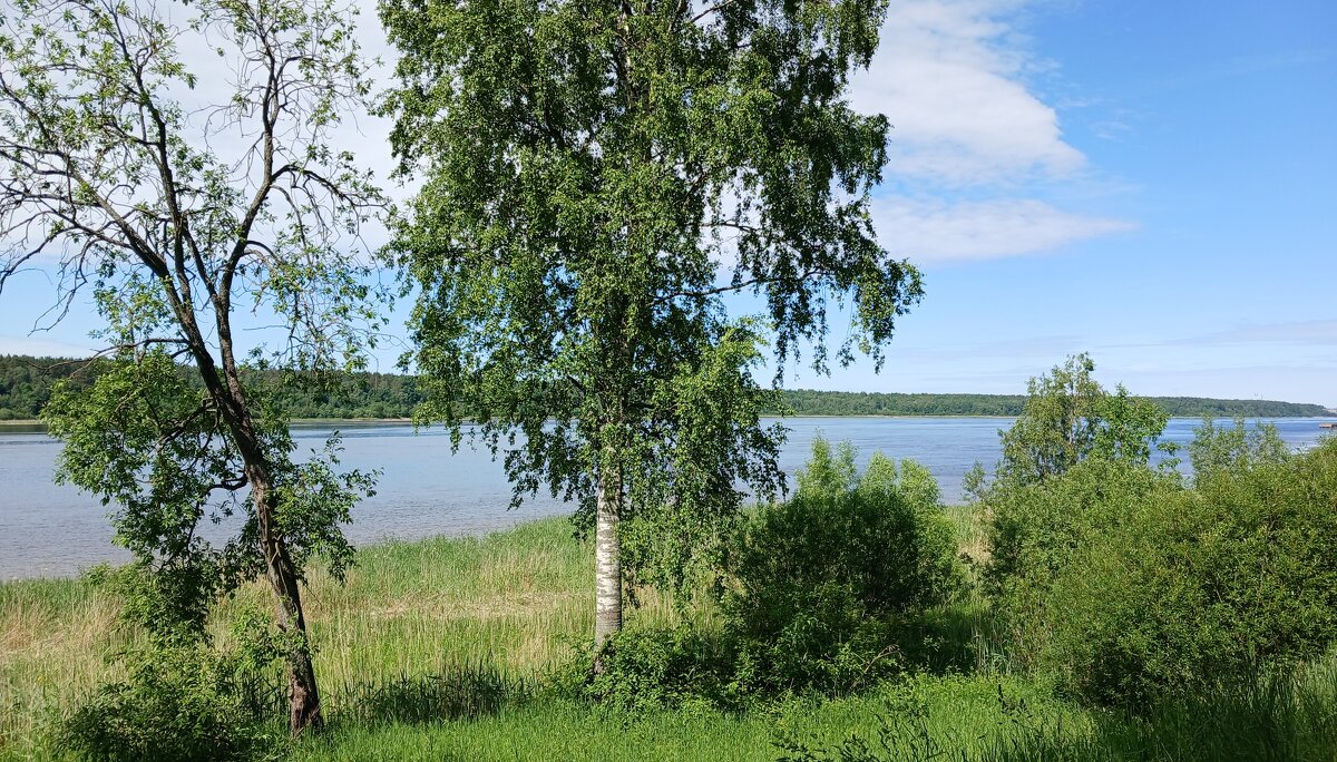Нева - Наталья Герасимова Нева - Наталья Герасимова