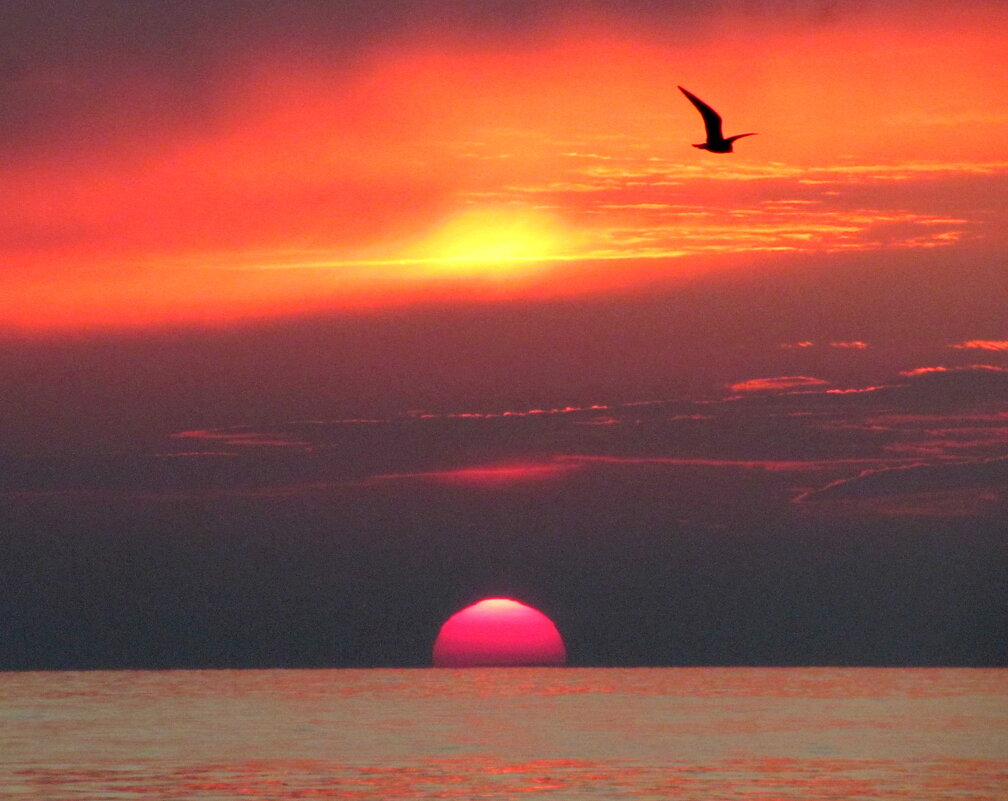At the sunset - Валерий 