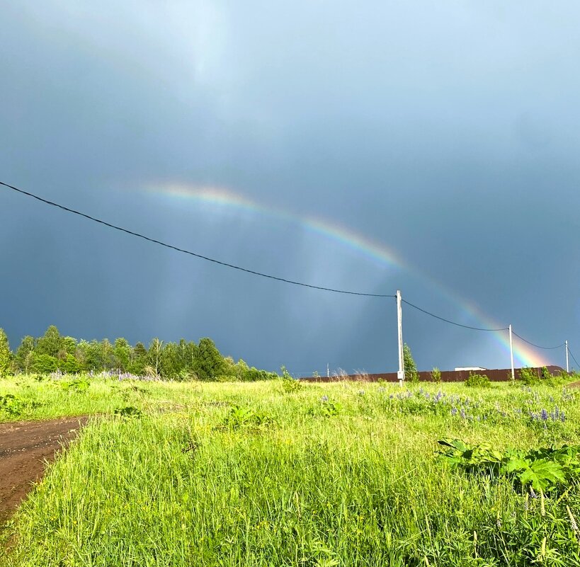 Была гроза - Лариса С.