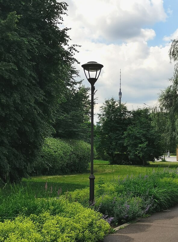 Уличная фотография. - Любимова Ольга 