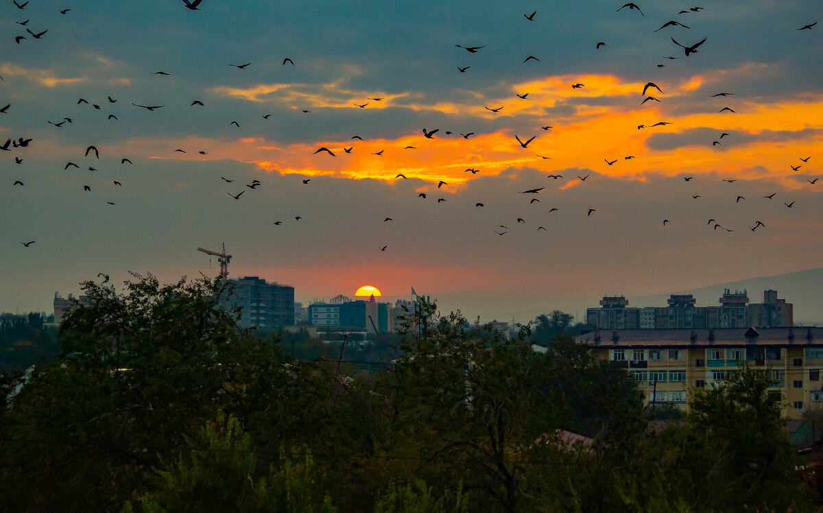 Кешкі самал мен еркіндік  Evening Breeze and Freedom - Алтынбек Картабай 