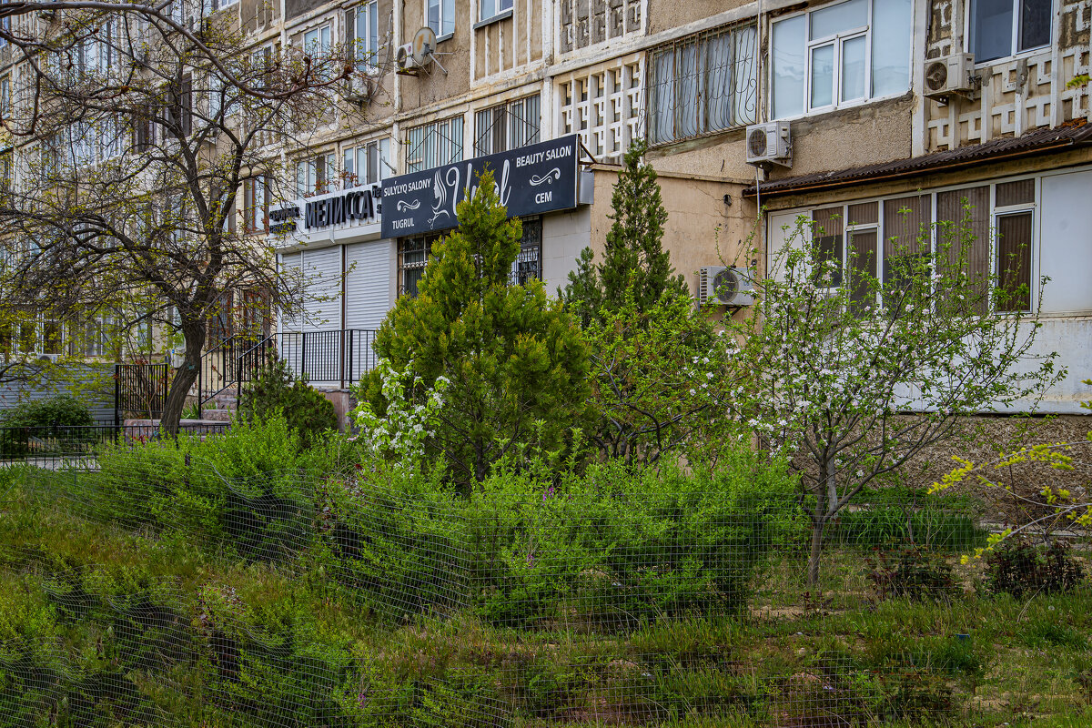 Зелень у дома - Анатолий Чикчирный