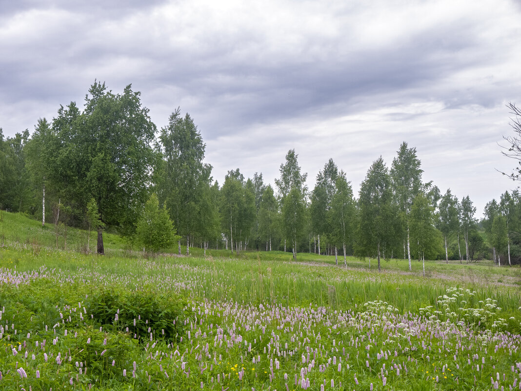 ___ - Yuriy V ___ - Yuriy V