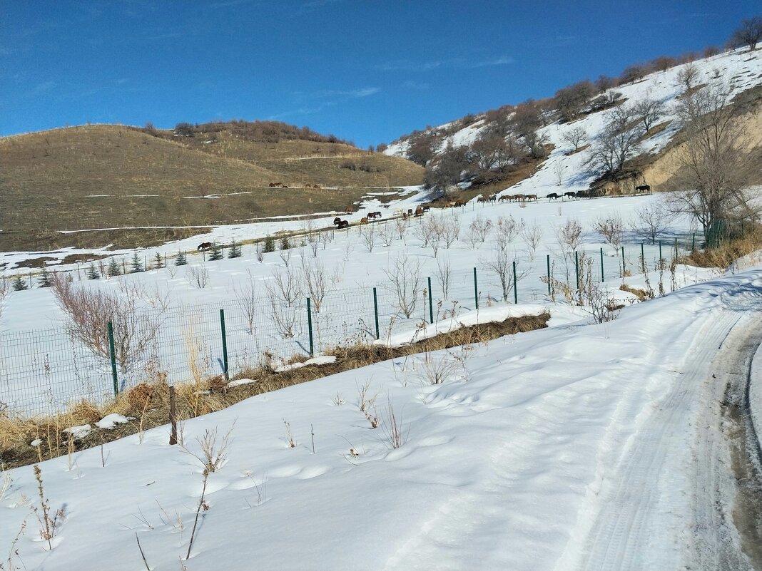 Ak Bulak. - Murat Bukaev 