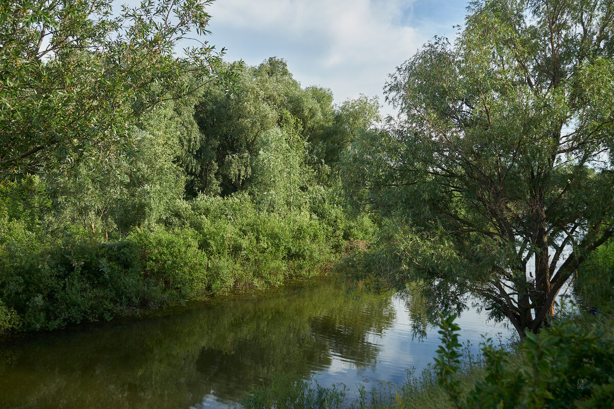 Река Подстёпновка, Южный город, Самара - Олег Манаенков
