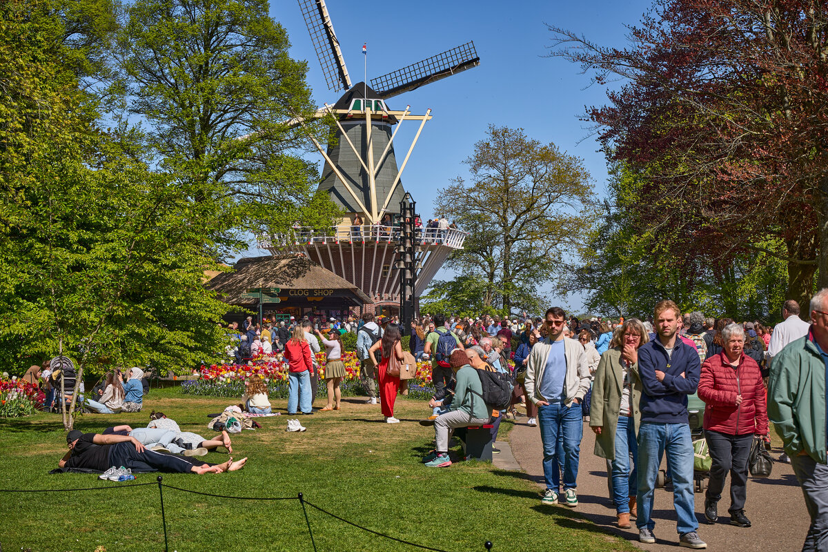 Keukenhof... - Dmitriy Dikikh