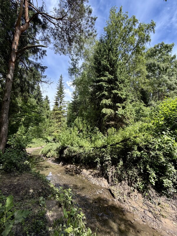 Фрагмент городского оазиса). - Любовь Фрагмент городского оазиса). - Любовь