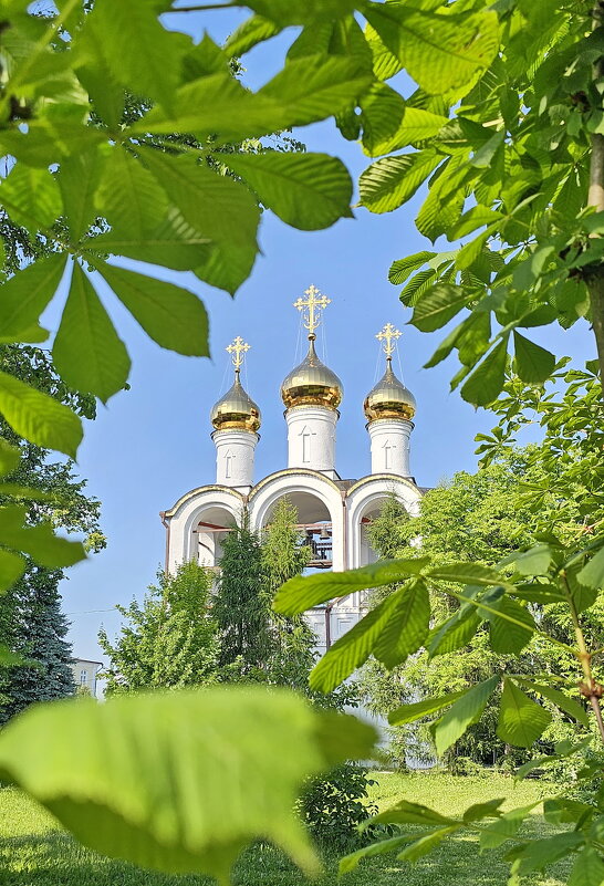 Предтеченская церковь - Михаил Свиденцов