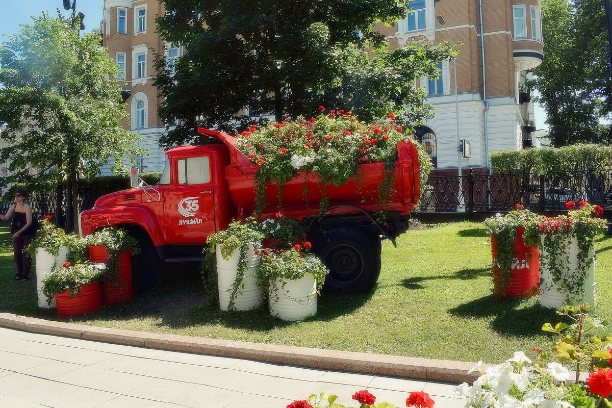 «ЗИЛ-130» в цветах в прогулочной зоне. - Татьяна Помогалова
