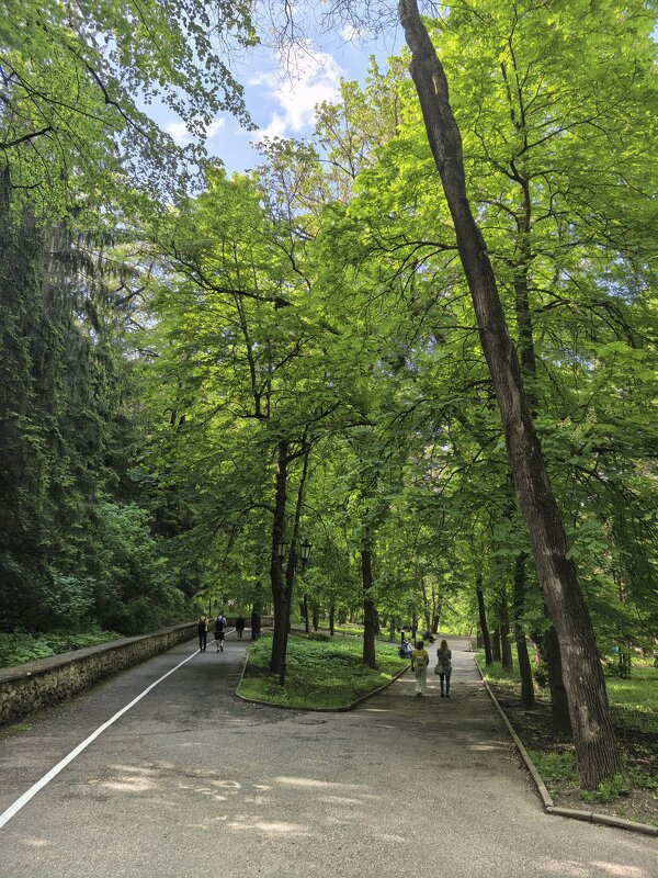 По дорожкам парка - Виктор 