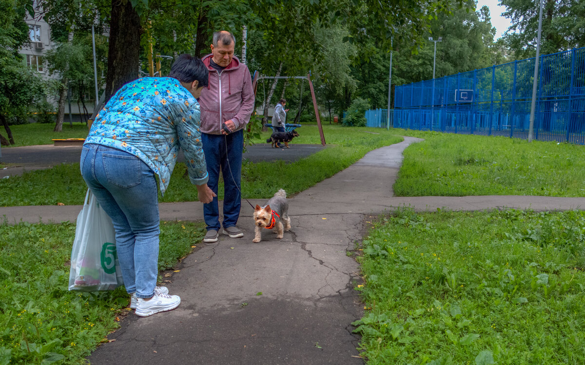 ***** - юрий поляков