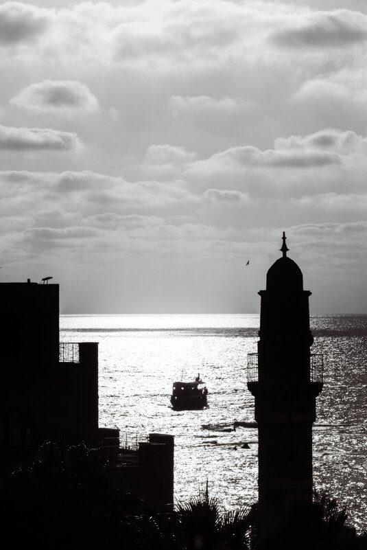 *** - alex chernin