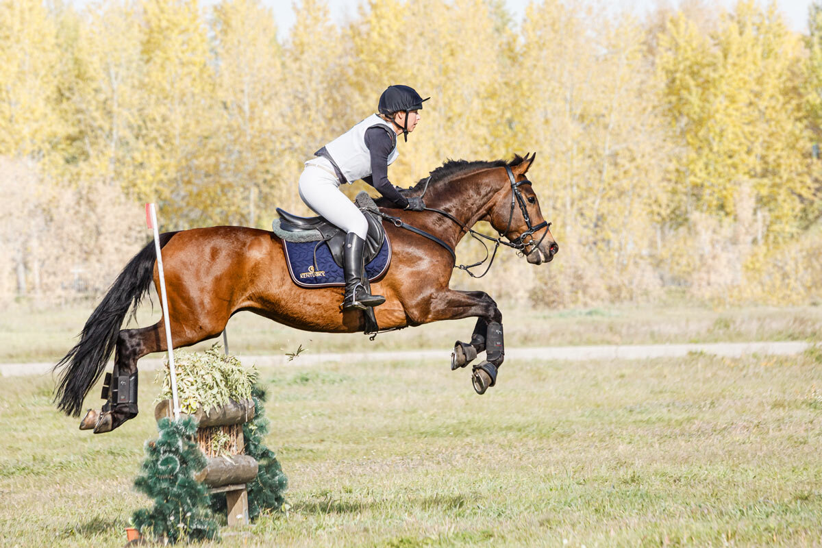 Кросс - SanSan 