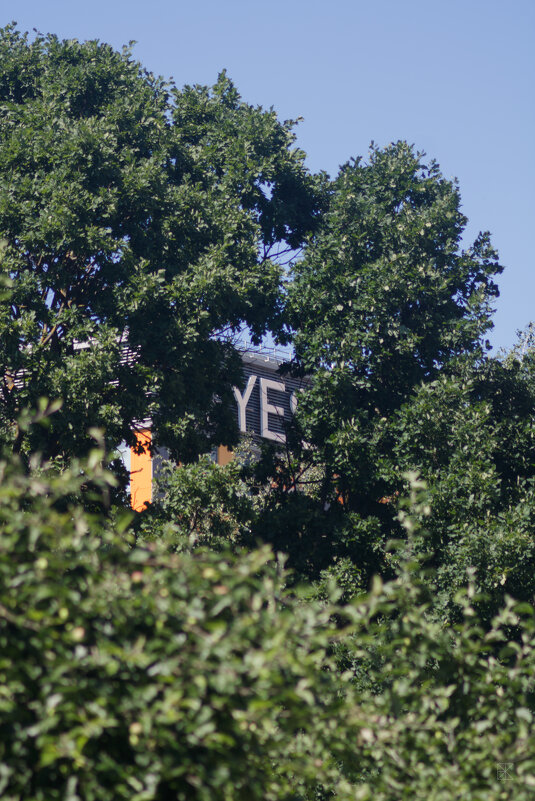 YE(S) - Chortyla 