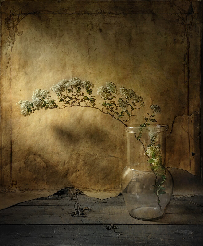 /*/ - Oleg Rastorguev
