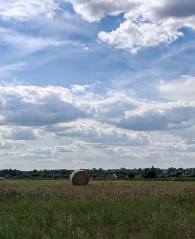 В июне месяце - Елена Семигина