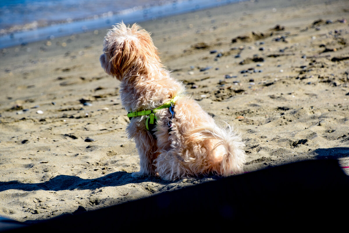 Ожидание - Олег 
