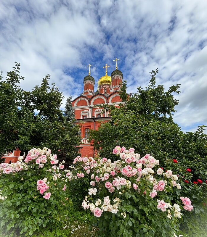Время роз - Мария - Maria