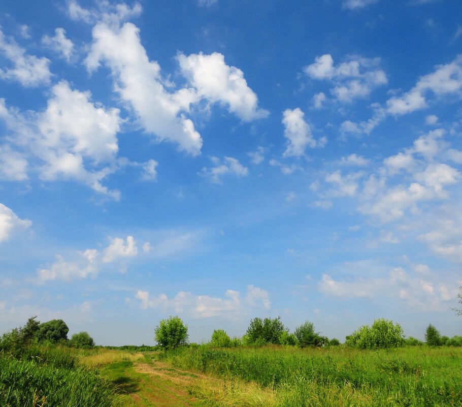 Знойный июль - Андрей Снегерёв Знойный июль - Андрей Снегерёв