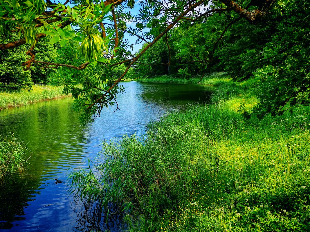 Царское Село - АЛЕКСАНДР Царское Село - АЛЕКСАНДР