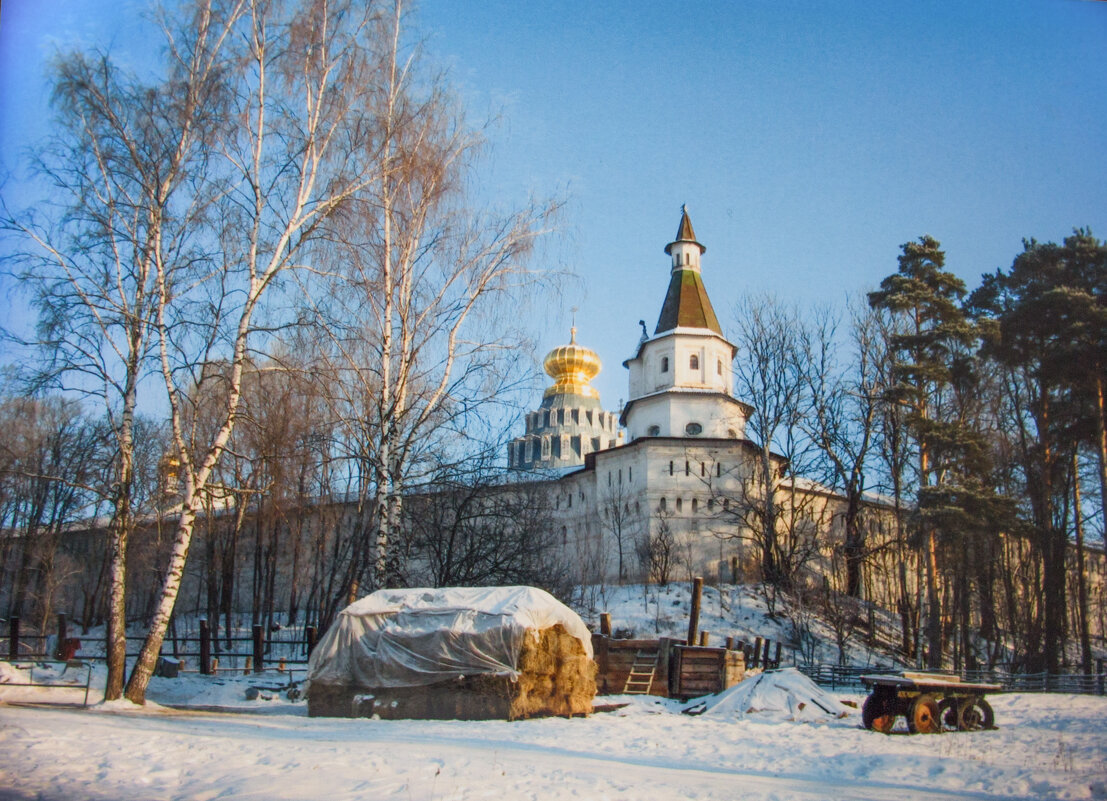 *** - Владимир Безбородов