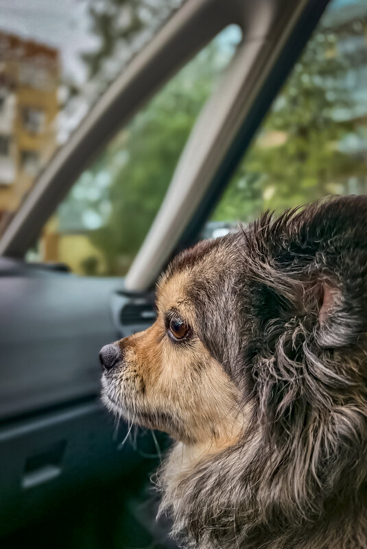 А за окном то дождь, то снег... - Sergey 