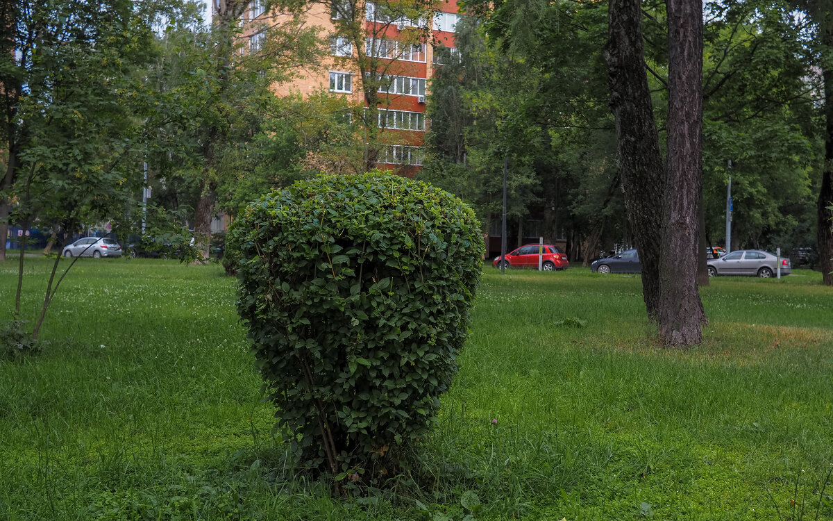 ***** - юрий поляков