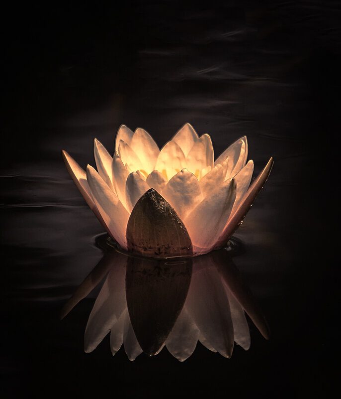 ***** - Андроник Александр 
