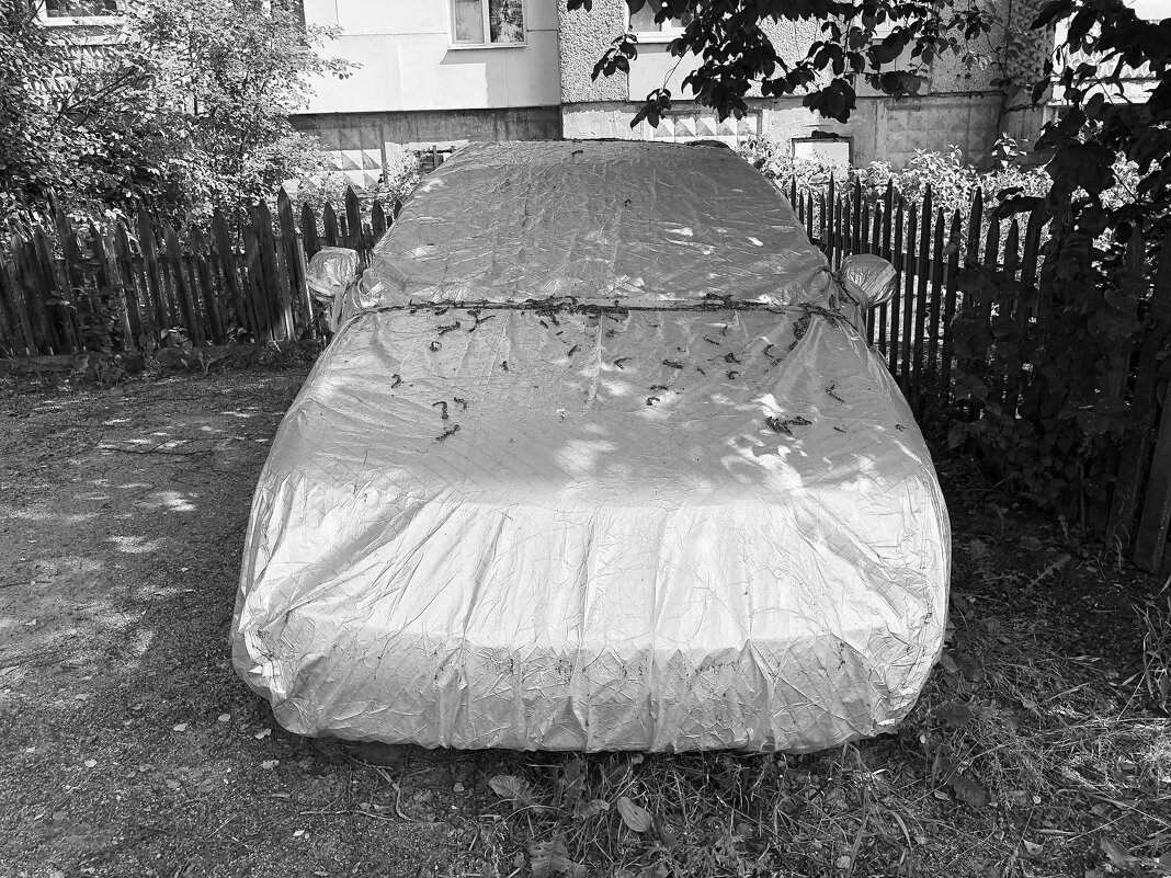 ... - Денис Безногов