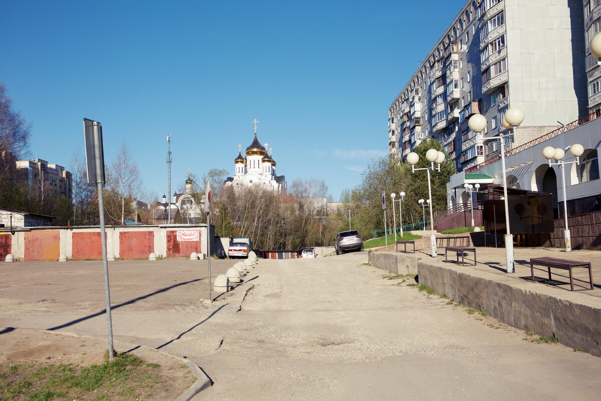 C - Денис Безногов