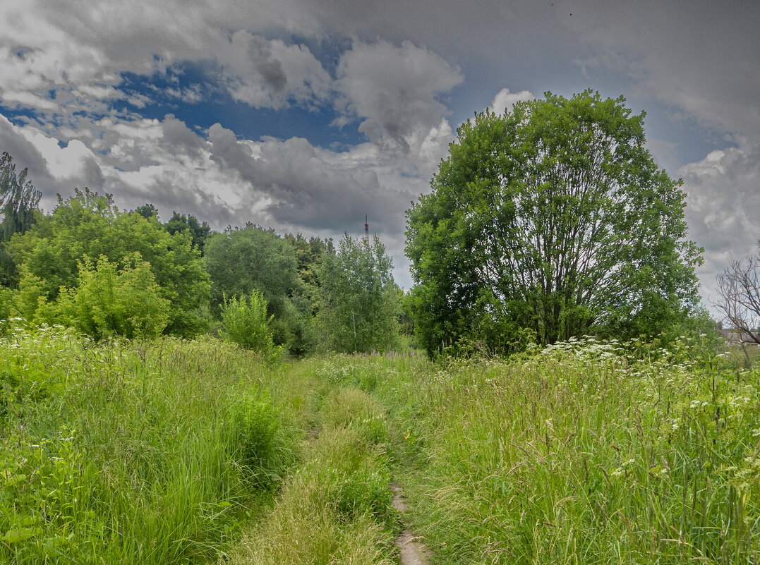___ - Yuriy V